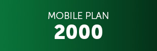 smart business plan 300